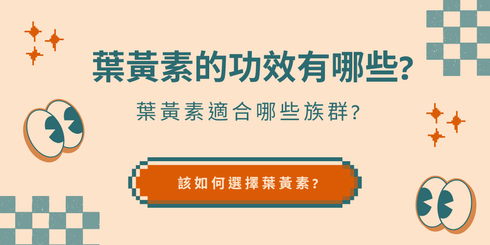 未命名設計 - 2025-12-18T172557.702