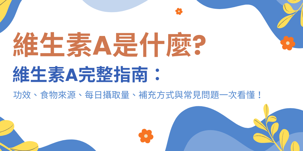 未命名設計 - 2026-01-03T102607.846