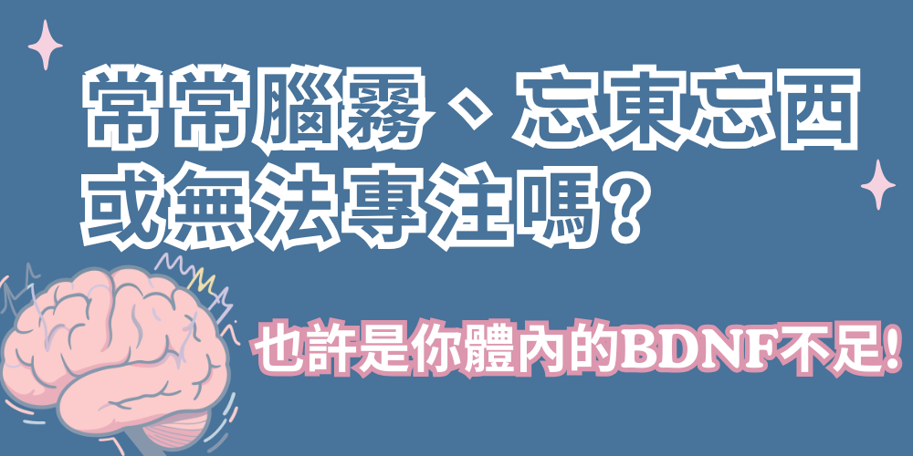 未命名設計 - 2026-05-12T164327.734