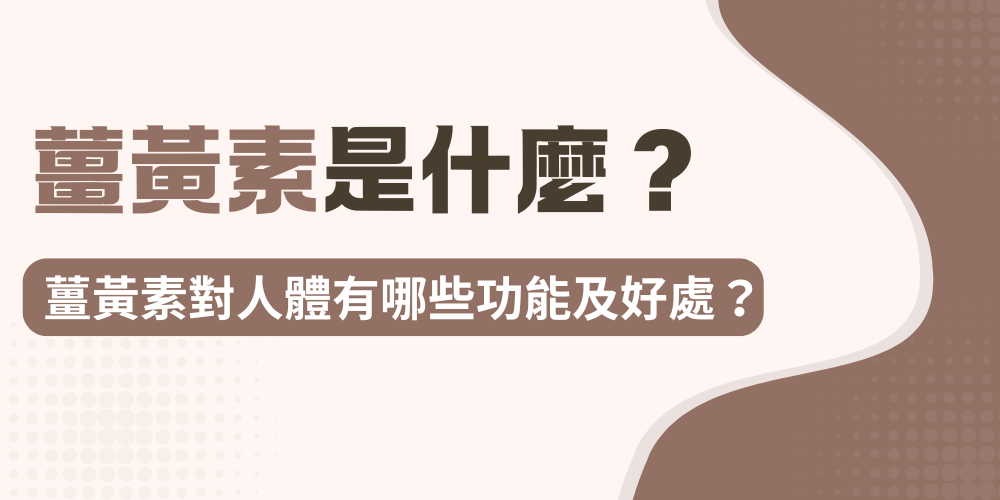 未命名設計 - 2026-05-14T203150.360