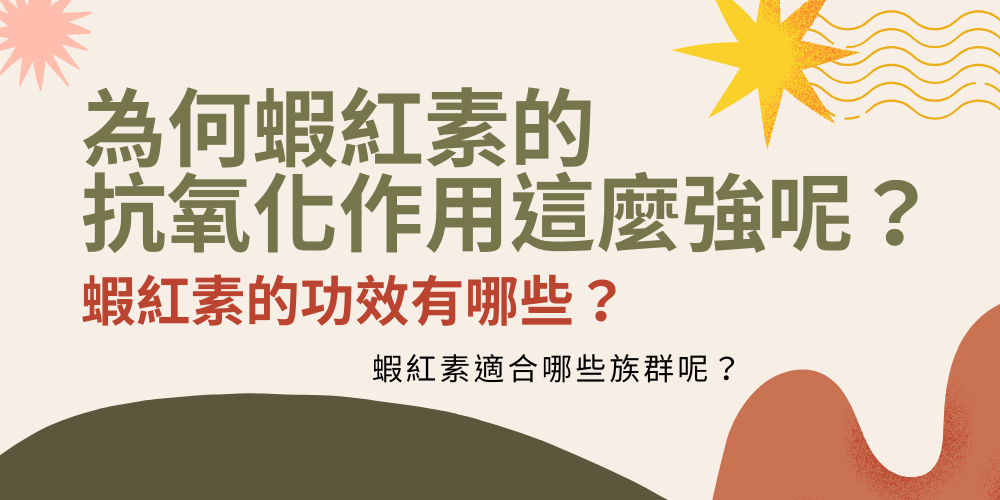 未命名設計 - 2025-12-29T202925.946